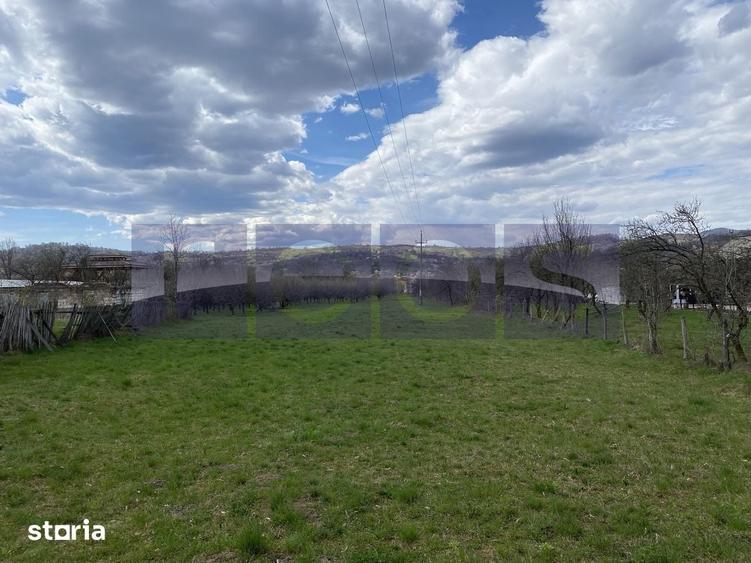 Teren de 14200 mp, în Berevoești