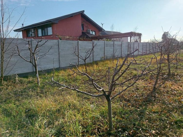 Teren 1200 mp str. Cornilor, Cornetu - 2