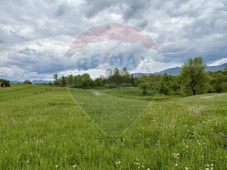 Teren agricol extravilan de 20876 mp, în Breb