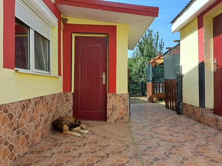 Casă cu 4 camere cu Teren 2000 Mp în Zărnești