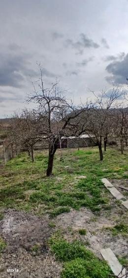 Exclusivitate! Casa individuala cu pozitie buna in Moldovenesti-Cluj - 3