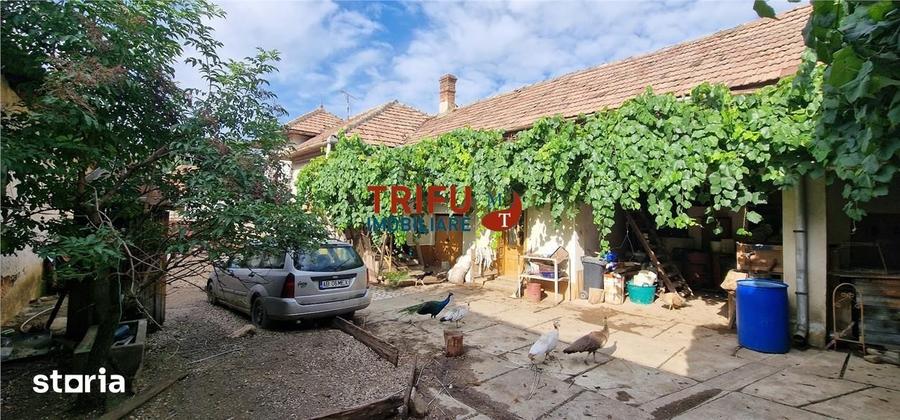 Casă cu 3 camere cu Teren 1252 Mp în Ighiu