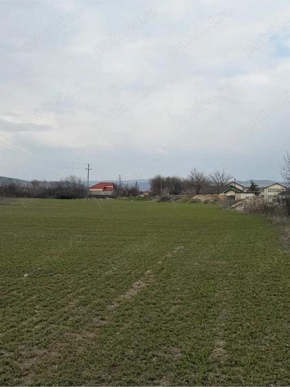 Teren de 10000 mp, în Vernești