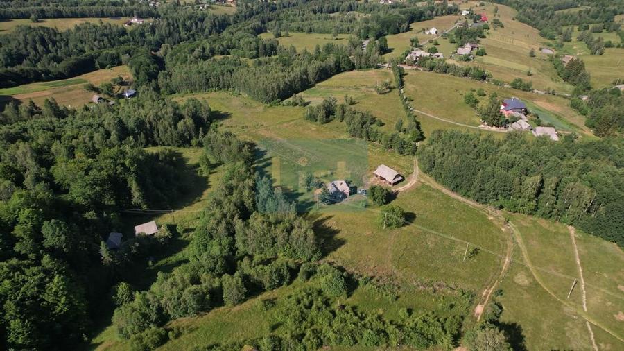 Teren de 38781 mp, în Râșca