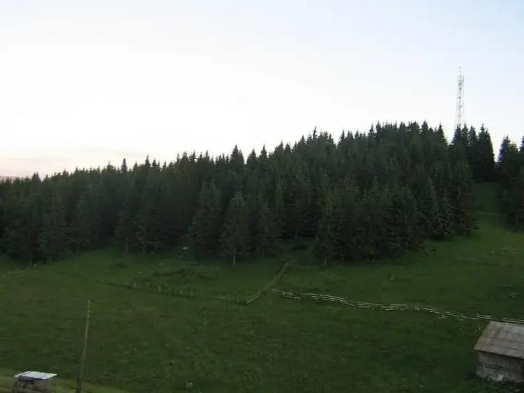 Teren intravilan de 10238 mp, în Fundățica
