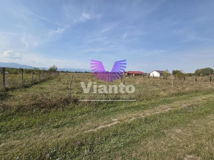 Teren agricol extravilan de 1500 mp, în Șelimbăr