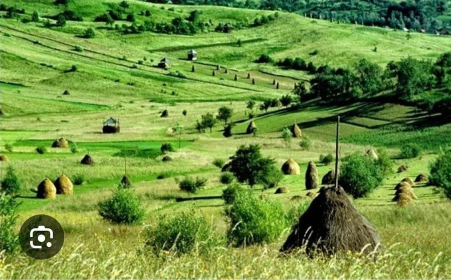 Teren de 156600 mp, în Dosu Bricii