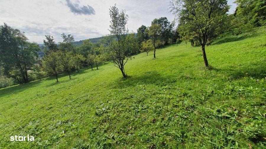 Teren de 2200 mp, în Sălciua