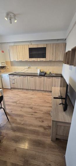 Apartament cu 2 camere decomandat, mobilat în Iosefin