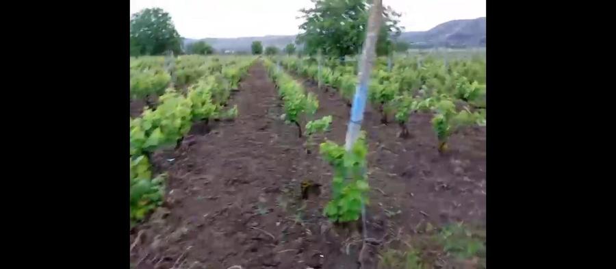Teren de 2700 mp, în Fântânele