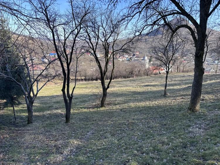 Teren de 5000 mp, în Gârcina