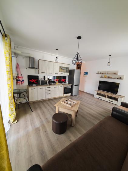Apartament cu 2 camere semidecomandat în Exterior Est
