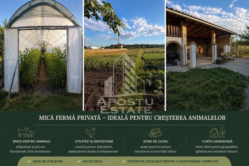 Casă cu 5 camere cu Teren 1000 Mp în Giarmata