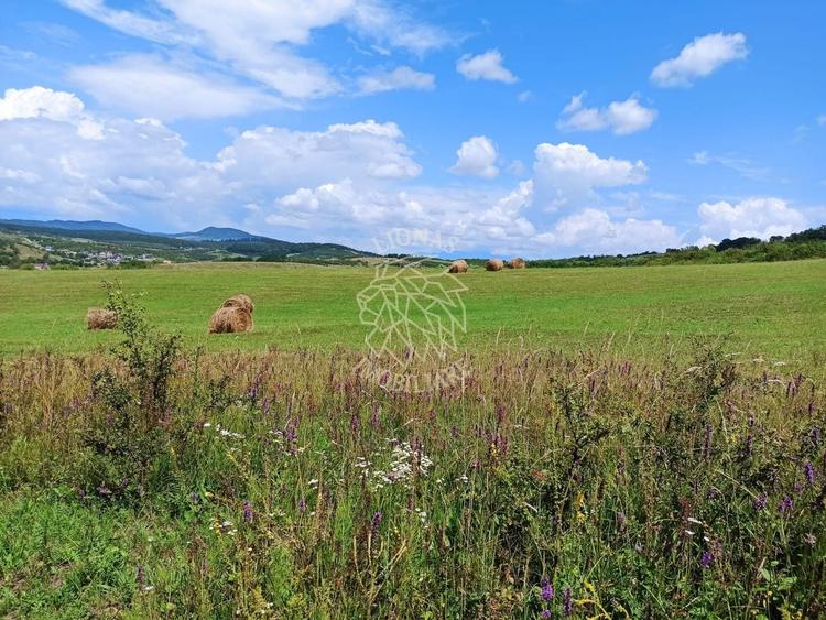 Teren agricol extravilan de 700 mp, în Sud