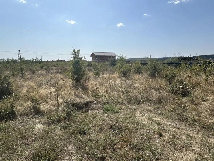 Teren de 1040 mp, în Moșoaia