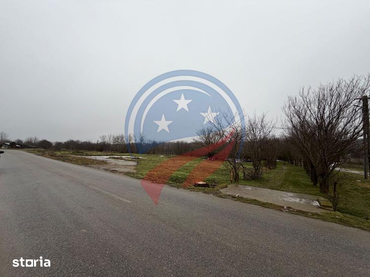 CASA CU TEREN 2500 MP LA 23 KM DE CRAIOVA CU TEAVA DE GAZE - 10