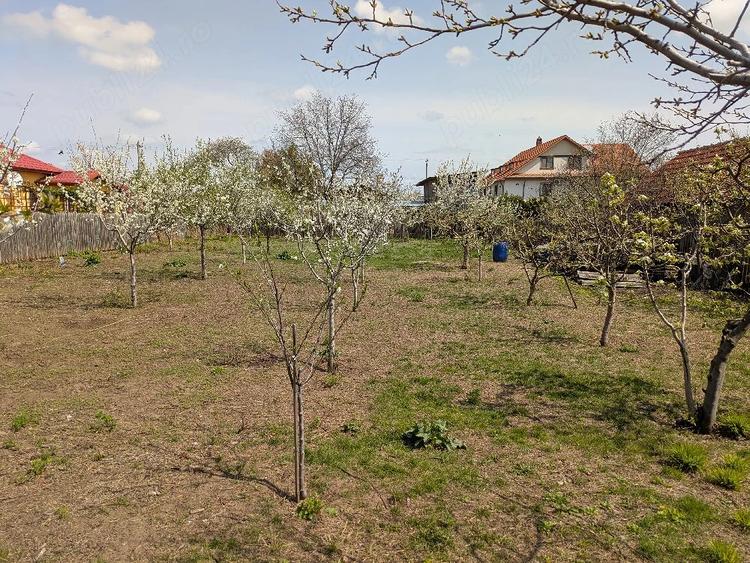 Teren de 845 mp, în Oreavul