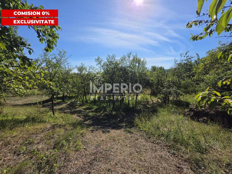 Teren Construcții intravilan de 5051 mp, în Borhanci