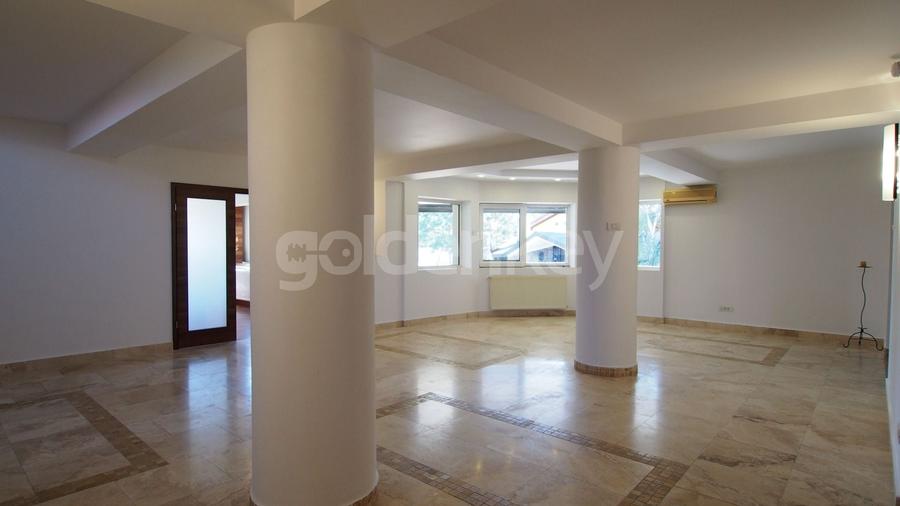 Casă individuală cu 8 camere cu Piscina în Iancu Nicolae