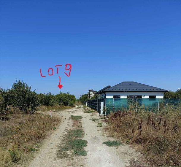 Teren de vanzare 537 mp | Str. Cupidon, Teghes (Domnesti) - 3