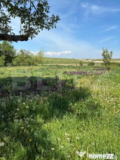 Casă cu 3 camere cu Teren 584 Mp în Central