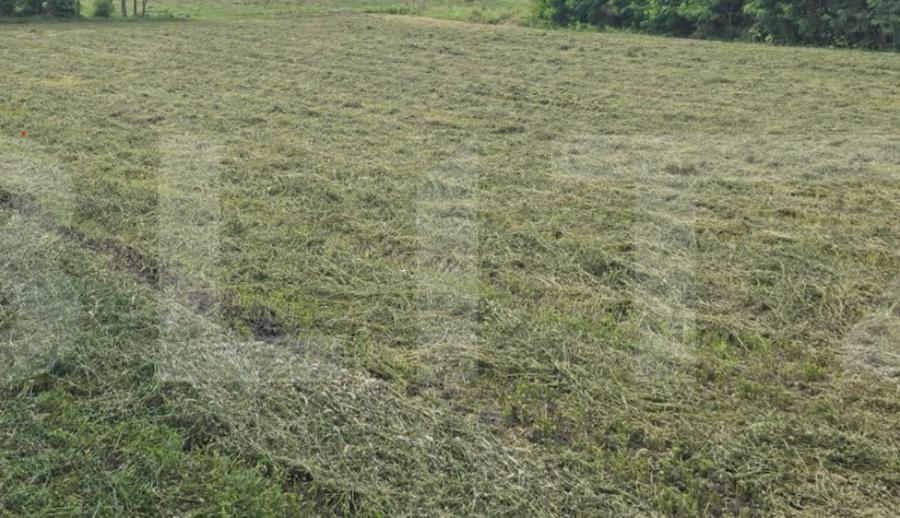 Teren de 3600 mp, în Stăuceni