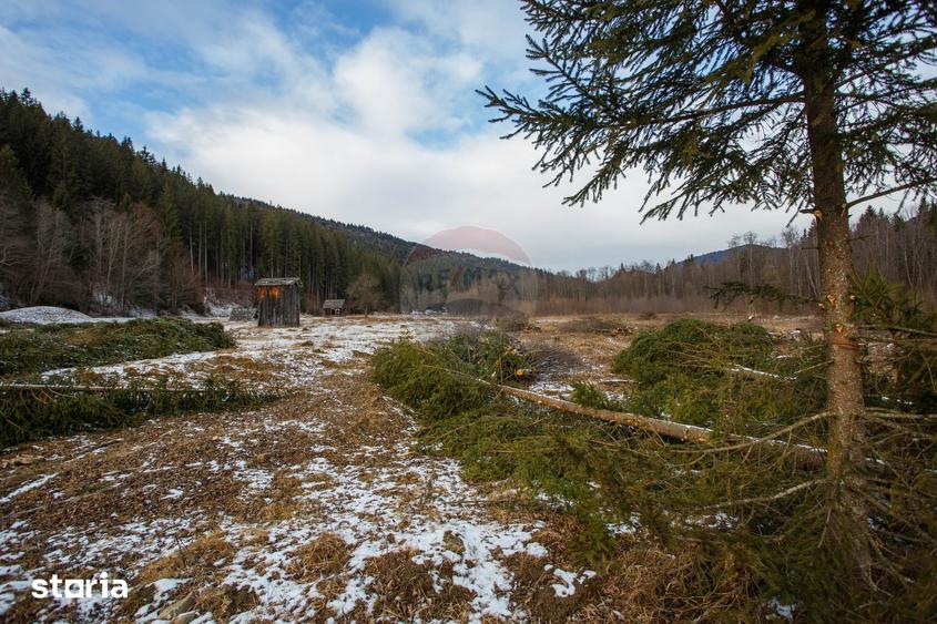 Teren de 49000 mp, în Borca