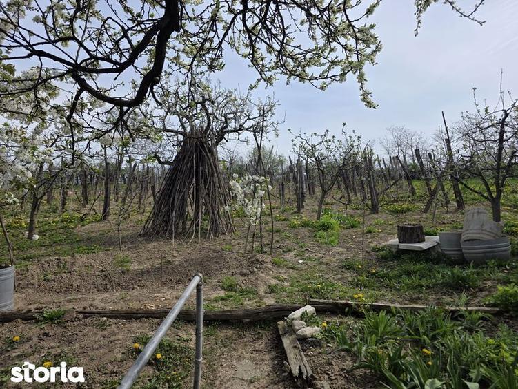 Casă cu 3 camere cu Teren 70 Mp în Secuieni
