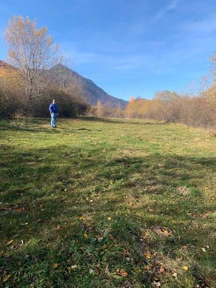 Teren în Tohănița