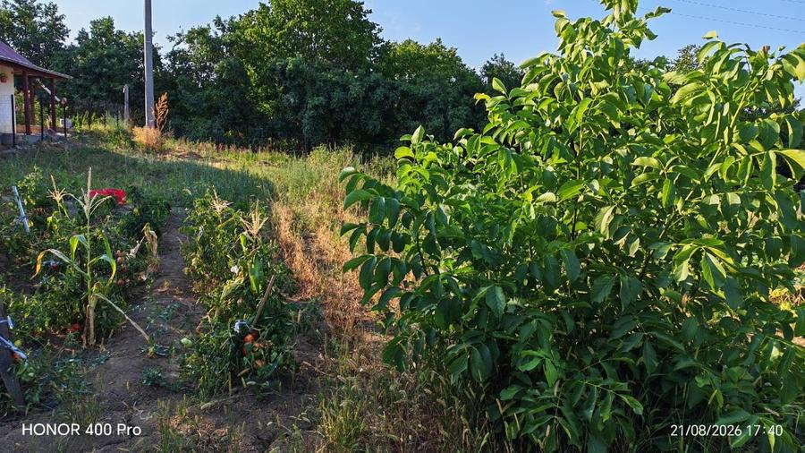 Teren agricol intravilan de 2100 mp, în Nord-Est