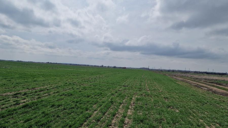 Teren Construcții intravilan de 13298 mp, în Săbăreni