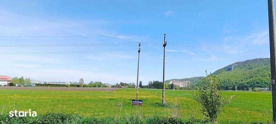 Teren de 8000 mp, în Bartolomeu