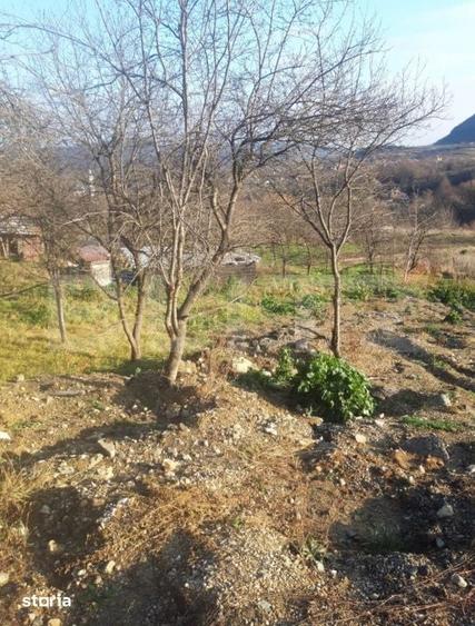 Teren de 1800 mp, în Moigrad-Porolissum