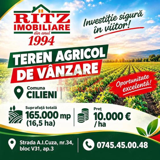 Teren de 165000 mp, în Sud