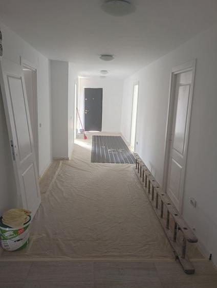 Casă cu 3 camere în Bălăceanca