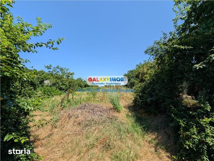 Casă cu 3 camere cu Teren 3000 Mp în Gruiu