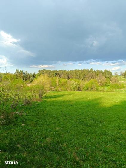 Teren intravilan 3.300 mp cu vedere catre lac Vulcan, zona lacurilor - 10