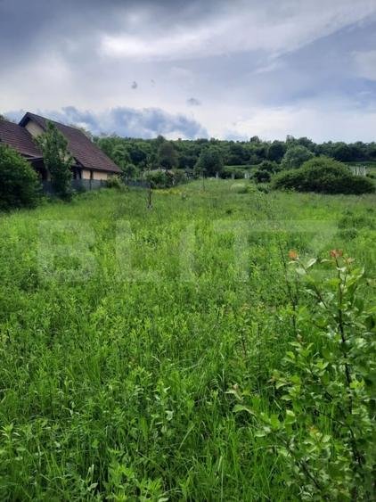 Teren Construcții intravilan de 1800 mp, în Ciurila