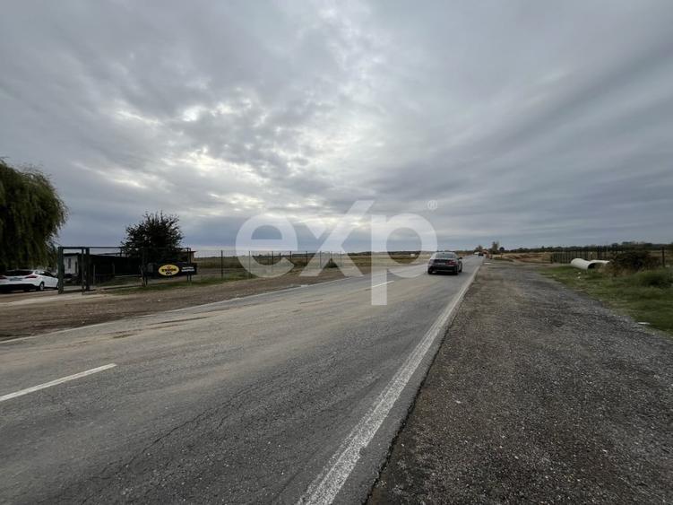 Teren intravilan premium 15.000 mp la DN61 langa Centura G - 2