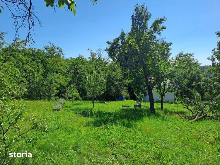 Teren de 562 mp, în Teișani