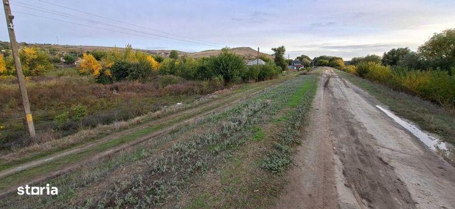 Teren de 2400 mp, în Peceneaga