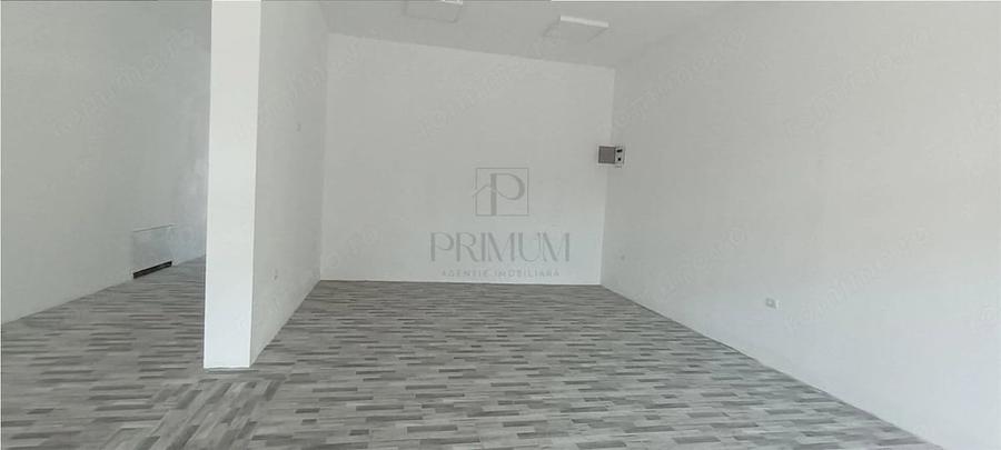 Spațiu comercial, de 130 mp, în Elisabetin