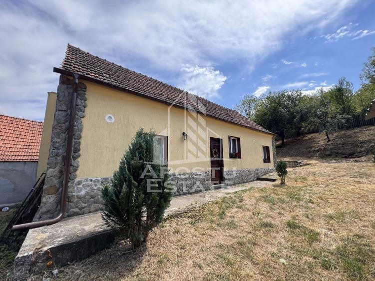 Casă individuală cu 4 camere cu Canalizare în Dăbâca