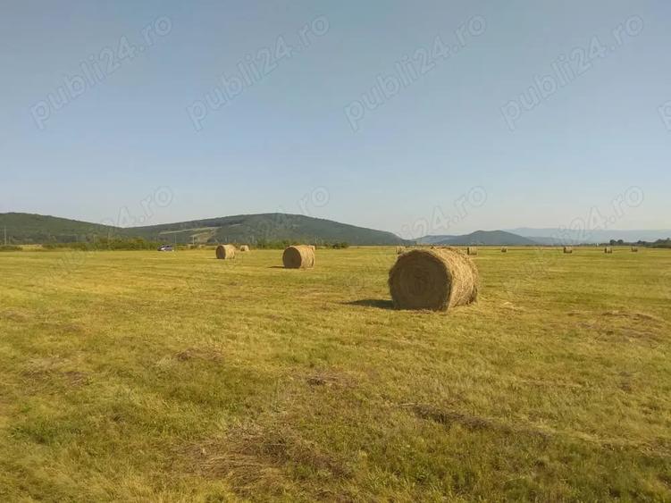 Teren de 5800 mp, în Suseni