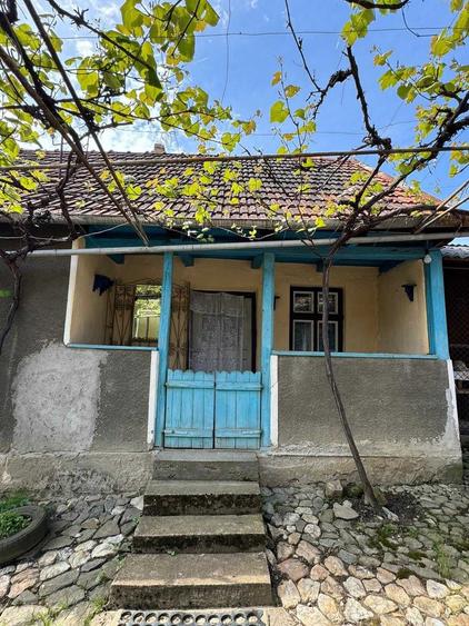Casa de vacanta la tara - 2