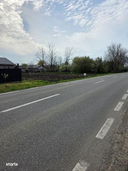 Teren de 500 mp, în Movilița