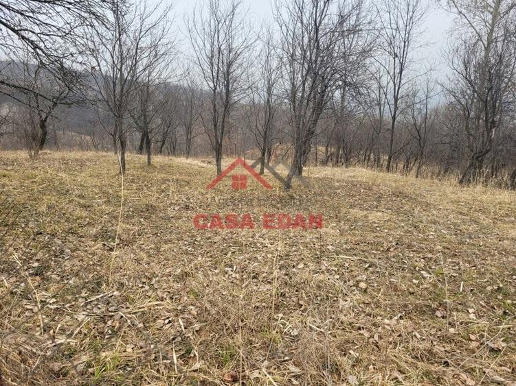 Casă cu Teren 1358 Mp în Gura Beliei