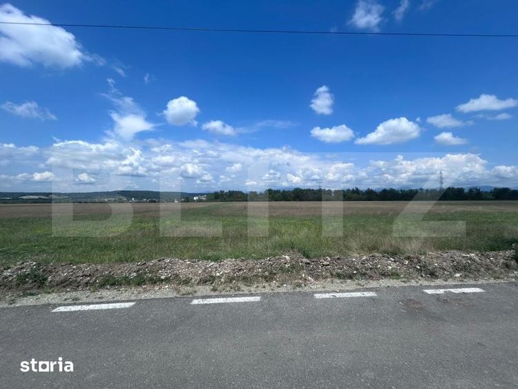 Teren de 5000 mp, în Racovița