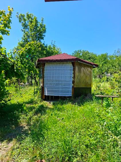 Casă cu 1 camere cu Teren 1043 Mp în Brănești