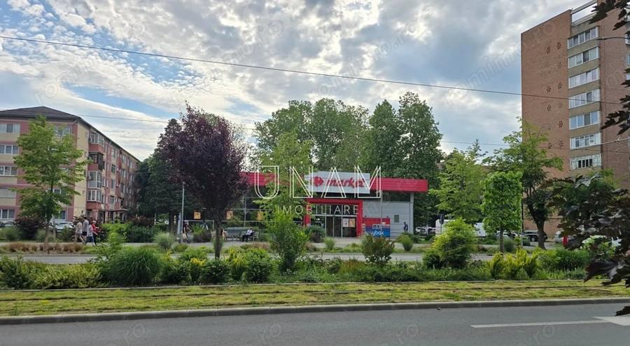 Apartament cu 2 camere decomandat în Govândari
